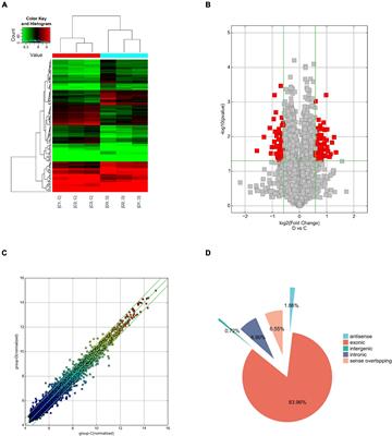 The Potential Circular RNAs Biomarker Panel and Regulatory Networks of Parkinson’s Disease